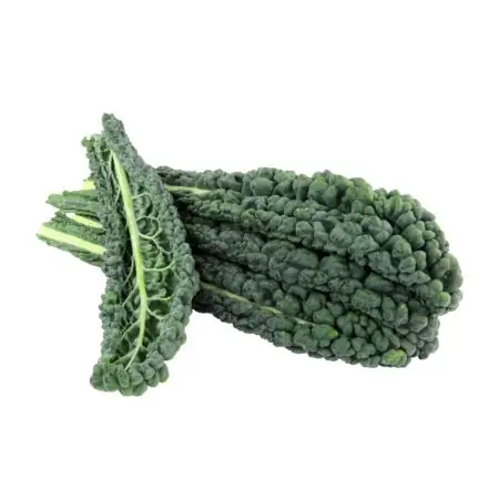 Cavolo Nero Kale